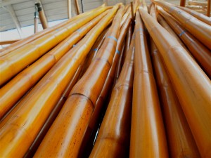 vertical-honey-bamboo-poles